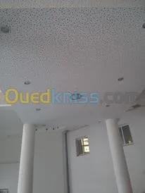 ba13 pvc plafond dimentable et l'alico