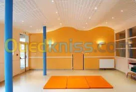 ba13 pvc plafond dimentable et l'alico