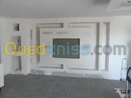 ba13 pvc plafond dimentable et l'alico
