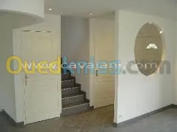 ba13 pvc plafond dimentable et l'alico