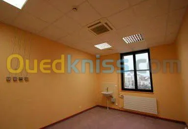 ba13 pvc plafond dimentable et l'alico