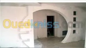 ba13 pvc plafond dimentable et l'alico