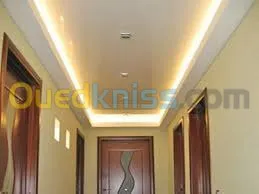 ba13 pvc plafond dimentable et l'alico
