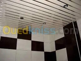 ba13 pvc plafond dimentable et l'alico