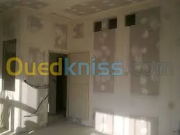 ba13 pvc plafond dimentable et l'alico
