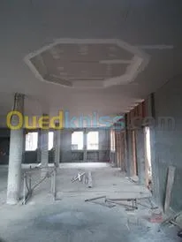 ba13 pvc plafond dimentable et l'alico