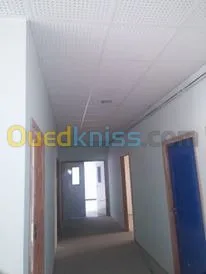 ba13 pvc plafond dimentable et l'alico