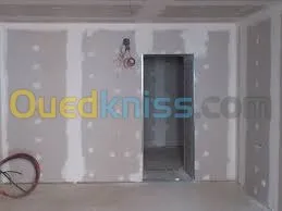 ba13 pvc plafond dimentable et l'alico
