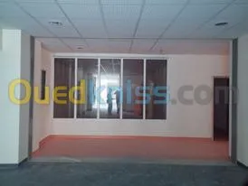 ba13 pvc plafond dimentable et l'alico