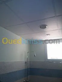 ba13 pvc plafond dimentable et l'alico