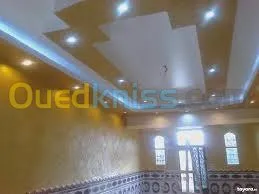 ba13 pvc plafond dimentable et l'alico
