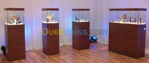 Vitrine façade verre trempé