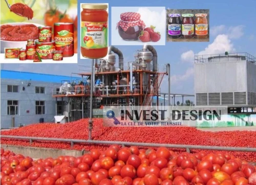 Chaine de production de tomate conserve