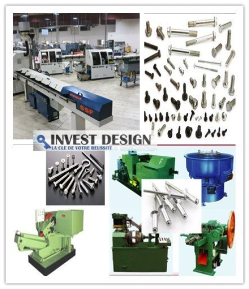 Chaine de production de tomate conserve