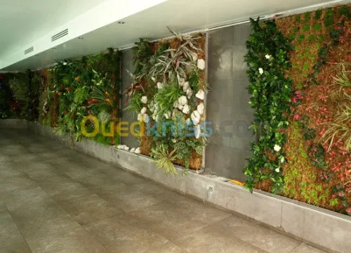 Mur vegetaux (SPHAIGNE)
