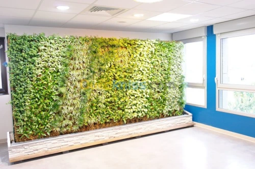 Mur vegetaux (SPHAIGNE)