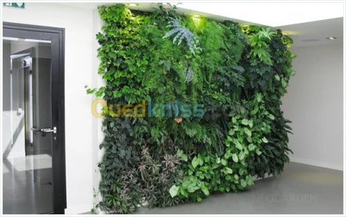 Mur vegetaux (SPHAIGNE)