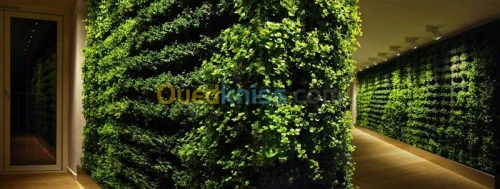 Mur vegetaux (SPHAIGNE)