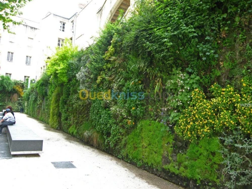 Mur vegetaux (SPHAIGNE)