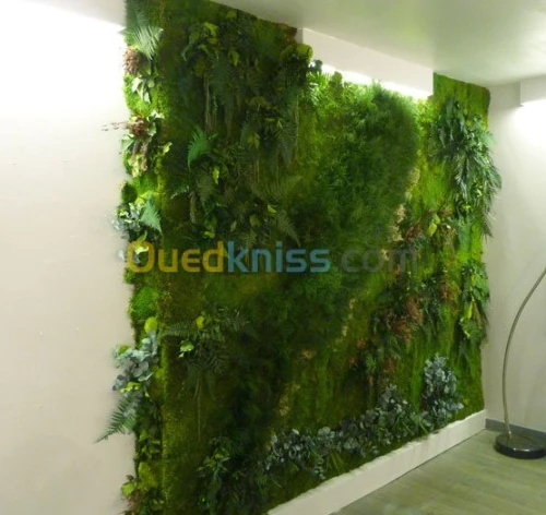 Mur vegetaux (SPHAIGNE)