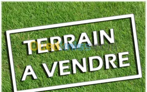 Vente Terrain Biskra Sidi okba