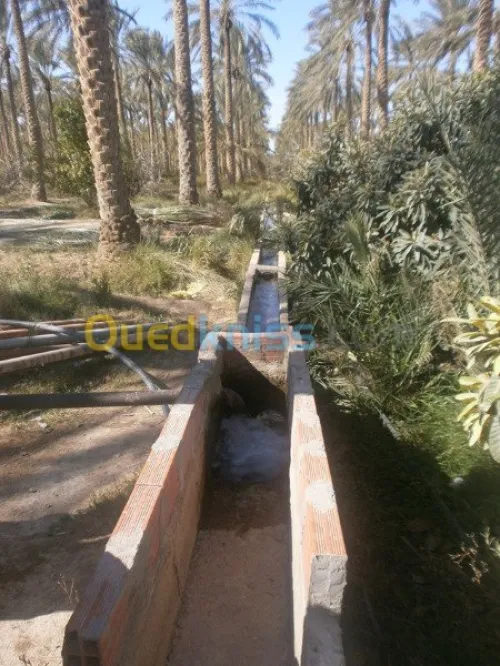 Vente Terrain Biskra Bordj ben azzouz