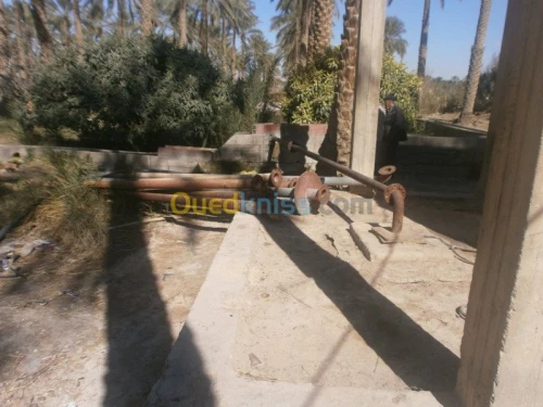 Vente Terrain Biskra Bordj ben azzouz