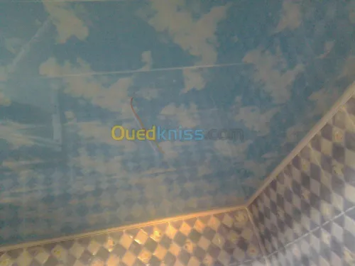 montage de faux plafon placo platre 