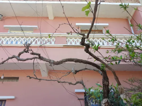 Vente Villa Oran Es senia