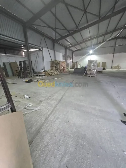 Location Hangar - Usine Annaba Annaba