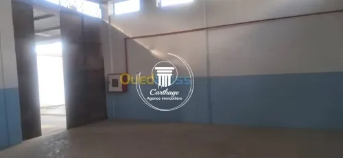 Vente Hangar - Usine Annaba Ain berda