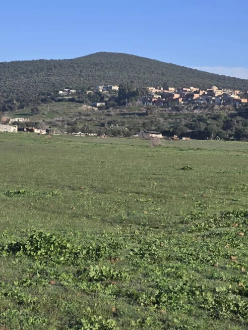 Vente Terrain Annaba Sidi amar