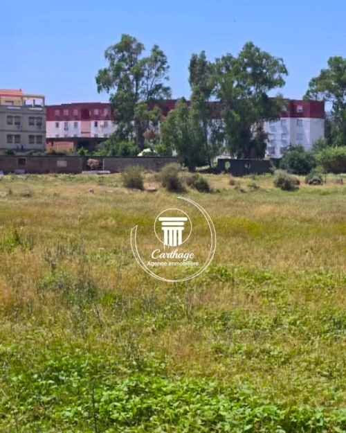 Vente Terrain Annaba Annaba
