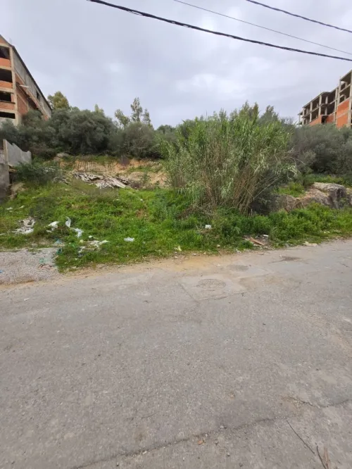 Vente Terrain Annaba Annaba