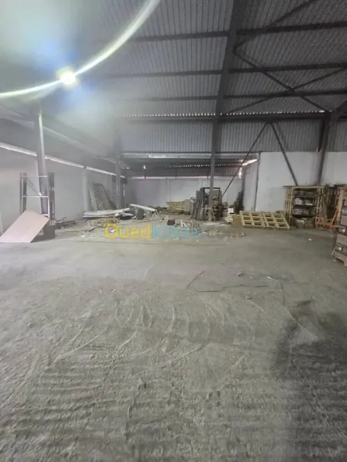 Location Hangar - Usine Annaba Annaba