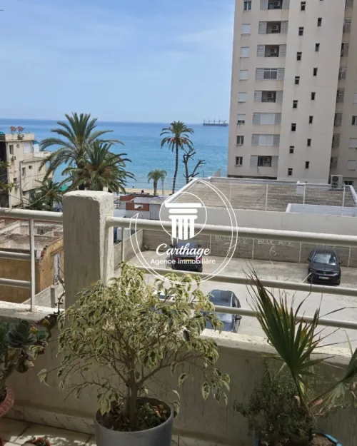 Location Appartement F4 Annaba Annaba