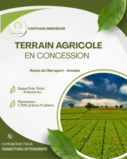 Vente Terrain Annaba Annaba
