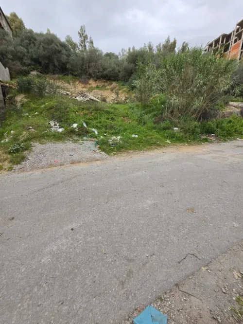 Vente Terrain Annaba Annaba