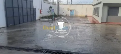 Vente Hangar - Usine Annaba Ain berda