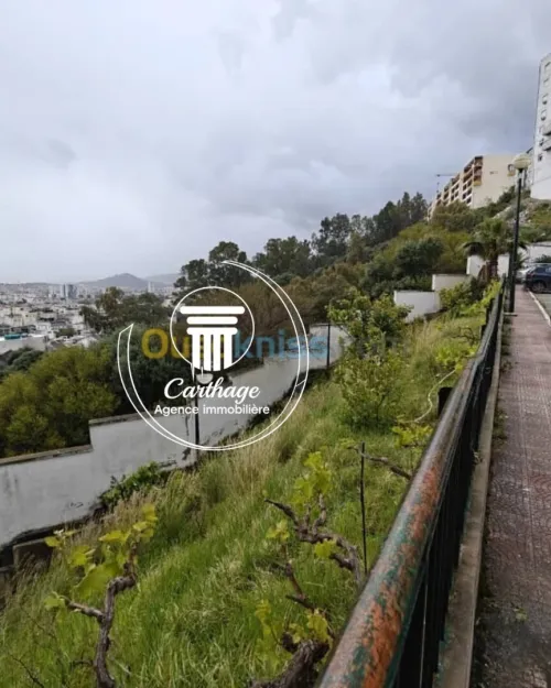 Vente Appartement F3 Annaba Annaba