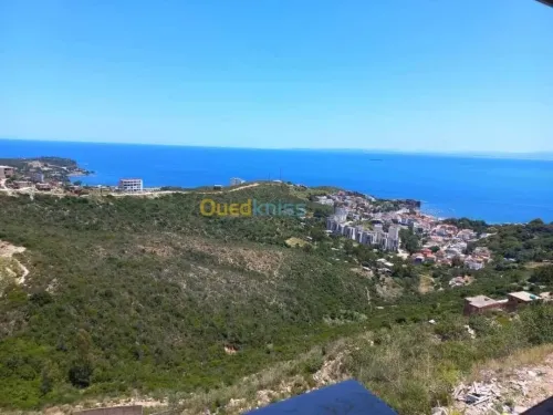 Location Appartement F4 Annaba Annaba