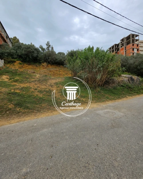 Vente Terrain Annaba Annaba
