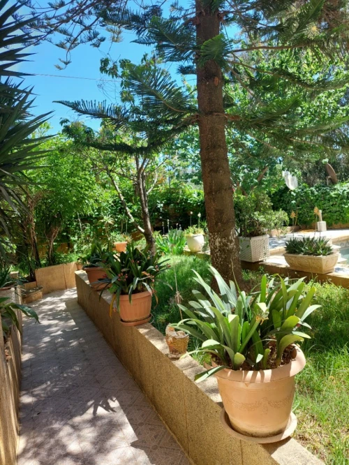 Vente Villa Alger Ben aknoun