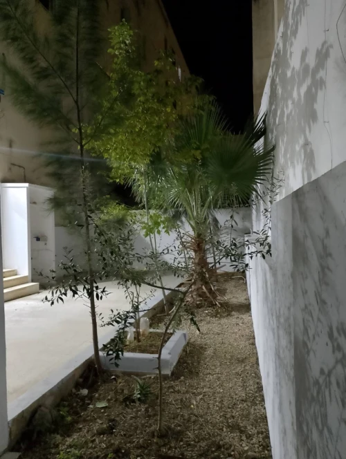 Vente Appartement F3 Alger Birkhadem