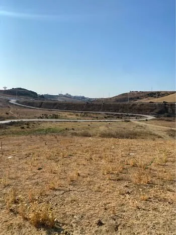 Vente Terrain Boumerdès Tidjelabine