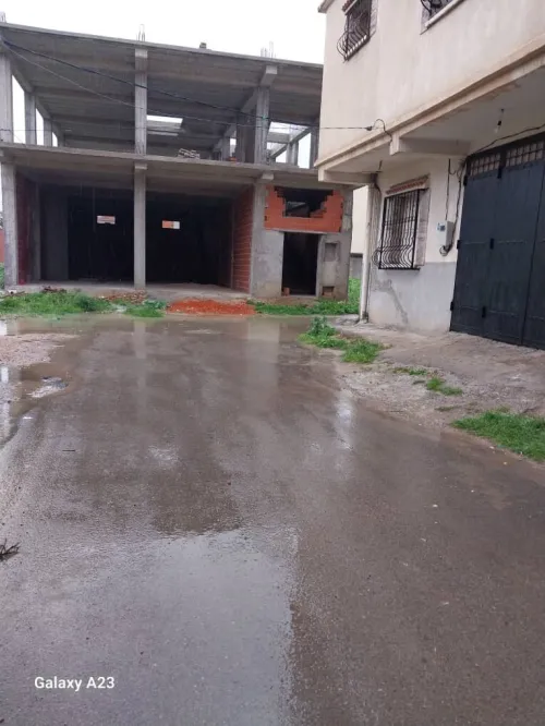 Vente Villa Alger Birtouta