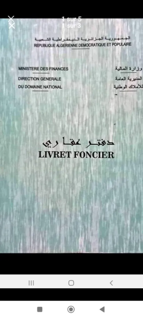 Vente Terrain Tlemcen Ain fezza