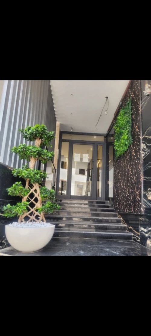 Vente Appartement F5 Alger Dely brahim