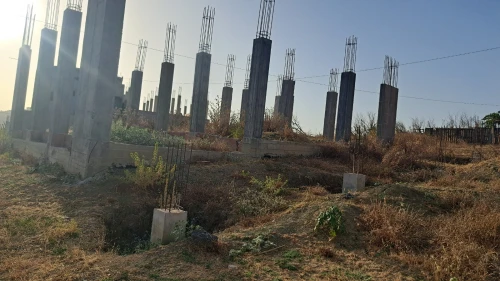 Vente Terrain Boumerdès El kharrouba