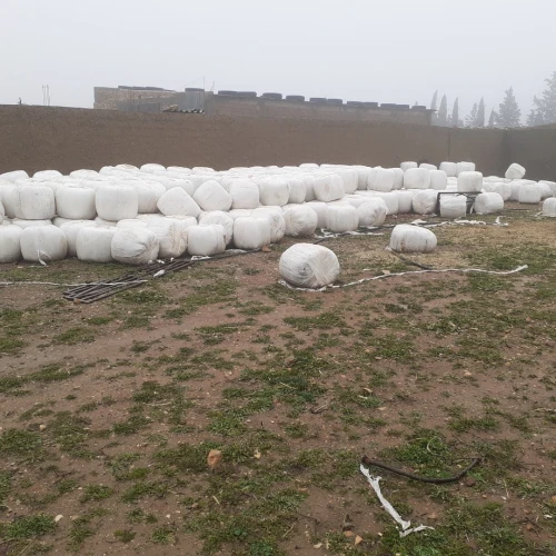 Ensilage 